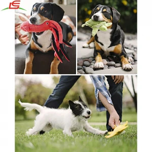 New Dog Toys Pet Puppy Chew Squeaky Squeaker Plush Dog Toy Interactive
