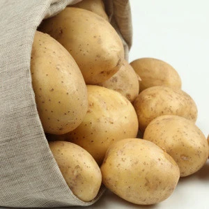 New harvest 2019 fresh potato