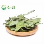 Newly Harvested Dried Spices Herbs Dried Peppermint Mint Leaves Cut Herbs