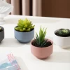 Nordic Wholesale Modern Porcelain Living Room Flower Pot Unique Ceramic Succulent Plant Pot