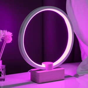 Northern Europe Style Modern Living Room Bedroom Night Lamp LED Circle Table Lamp