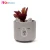 Import Novelty Design Green Ceramic Ins Cactus Shape Self Watering Indoor Planter Garden Planter Home Decor from China