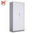 Import Office Steel File Cabinet/2 Door Metal File Cabinet For Sale from China