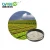 Import Organic Bio Fertilizer 20 billion cfu/g Bacillus Licheniformis for Agriculture from China