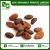 Import Organic Cocoa Seeds at Low Price from India