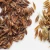 Import Organic Spice Grain Cumin Jeera Herbs from India
