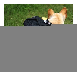 Pet Dog Saddle Bag Pack Backpack for Outdoor Hiking Camping Training Pet Carrier