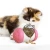 Import Pet Feeder Tumbler Slow Food Leakage Feeder Ball pet Dog Toy Pet Cat Supplies from China