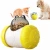 Import pet toy shop leaking food tumbler smart interactive training cat toys pet food storage from China