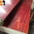 Import Phenolic Glue Resin Surface Formwork Board For Construction from China