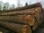 Import Pine, Teak, Spruce, Eucalyptus, Ceedar, Beech, Fir, Cherry, Hardwood, Rosewood, Hemlock, Oak Logs from Thailand