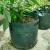Import Plastic Garden Plant Grow Bags Potato Grow Bags from China