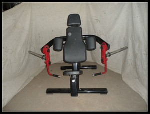 Plate Loaded/Free Weight Machine/Seated Biceps Curl