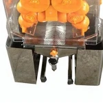 Pomegranate juice extractor for sale