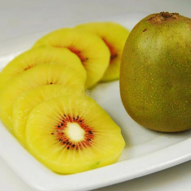 Popular High quality wholesale Supply Chinese Fresh Kiwi Fruit from China