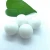 Import Precision Small PP POM plastic ball from China