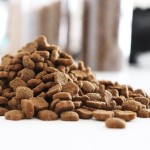 Premium Dry Dog Food Cat Treats  Manufacturer Supply Best Pet Food