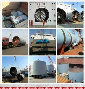 Professional Dry Bulk Carriers from China