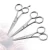 Import Professional Makeup Tools 5 Inches Nose Hair Cutting Scissors Professional Barber Scissors from China