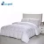 Import Professional Supply 100% Silk Microfiber Quilt Double White Duck Goose Down Duvet Cover from China