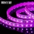 Import Project Lighting Waterpoof 2835 5050 rgb rgbw led light strip lamp from China