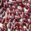 purple speckled Kidney beans/PSKB