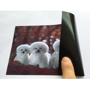 Quality 0.3mm thickness  magnetic  thin paper glossy finish inkjet printers available inkjet paper