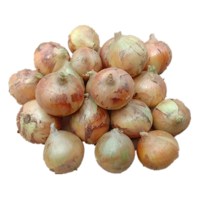 Quality assurance wholesale fresh plump and large natural yellow onions china onion