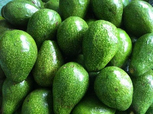 Quality Cheap Fresh Avocados From South Africa