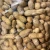 Import Quality Organic Peanuts Sun Dried Peanuts from United Kingdom