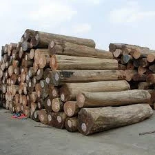 raw wood logs natural teak wood burma teak