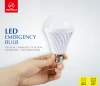 Recargable LED Emergencia/Emergency Light Bulb Recharging/Camping/Al aire libre/Domestico/home light RE16
