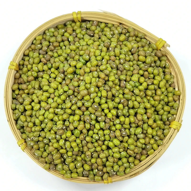 Reliable Export Specialty Premium Quality Green Mung Beans With Attractive Price