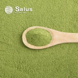 Salus Supply Top Quality Green Tea Matcha Powder
