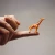Import Simulation Giraffe Deer Miniatures Animal Model Terrarium Figurines Mini Fairy garden Figures Plastic Craft from China