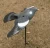 Import Simulation Lifelike Hunting Motorized Flying Pigeon Decoy from China