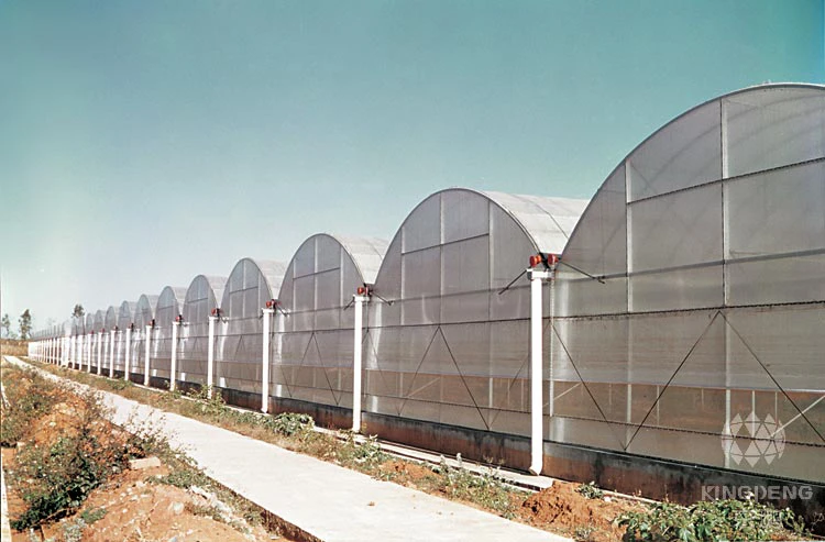 Skyplant Galvanized steel Industrial Plastic Film Greenhouse