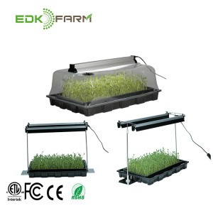 small complete greenhouse container watering kit vertical hydroponic growing systems with lights