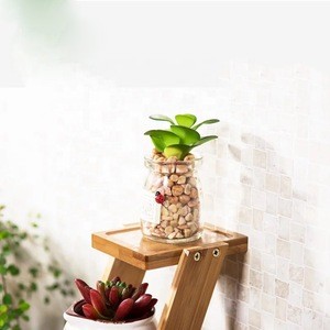 Small Succulent Plant Pot Set of 3 Ceramic Flowerpot with Bamboo Wood Tray Stand Drainage Modern Indoor Planter Cactus Container