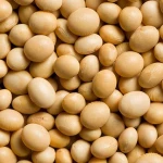 Soybeans seeds