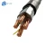Import Stranded  Copper CU XLPE  4 Core Armoured Cable Underground Power Cable from China