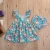 Import Summer Infant Baby Girl Ruffle Floral Printed Briefs Shorts Bloomers Outfits Flutter Sleeve Kids Flower Printed Dress Sets from China