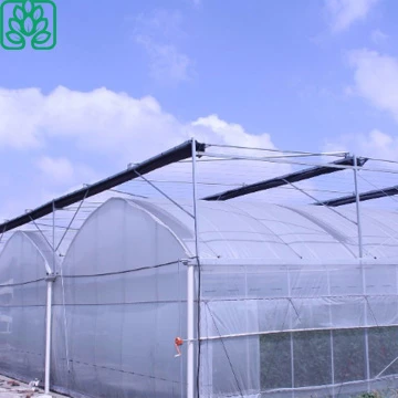 The Cheapest Agricultural Plastic Greenhouse Film