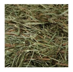 Timothy hay for animal feed Wholesale Seller Best quality Bulk Quantity Wholesale rate