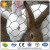 Import Top Netting For Game Bird Pens And Aviaries,Galvanized Hexagonal Wire Netting(gaw,Gbw) from China