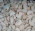 Import Top quality  Delicious White  Frozen  Mushroom Champignon Nameko Edulis Bolitus from China
