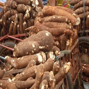 Top-quality Fresh Cassava in bulk with attractive meal
