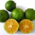 Import Top Quality Fresh Lime For Sale from Ukraine