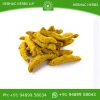 Turmeric Fingers Bulk Supply / Wholesale Spice Supplier
