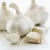 Import Ukrainian fresh normal white garlic from Ukraine